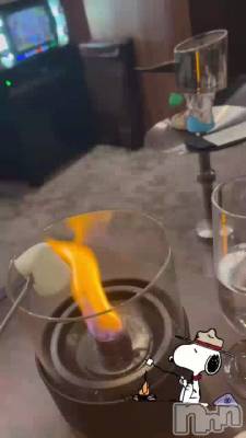     �ޤ��Ԥ�������Źȯ��🥰