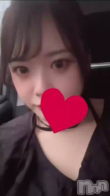  🌷��Ũ��1���ˤʤ�ޤ��褦��🌷