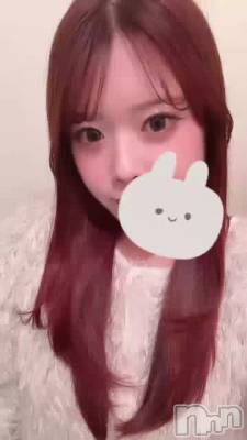     �ɤ�ʴ����ˤʤ�����👀✨