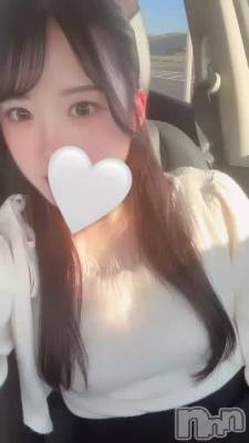    �פ��֤�����☀️