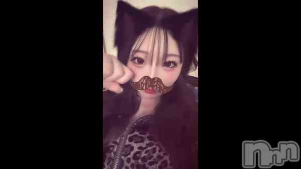 �֤ͤ��ʤ�🐱💓��