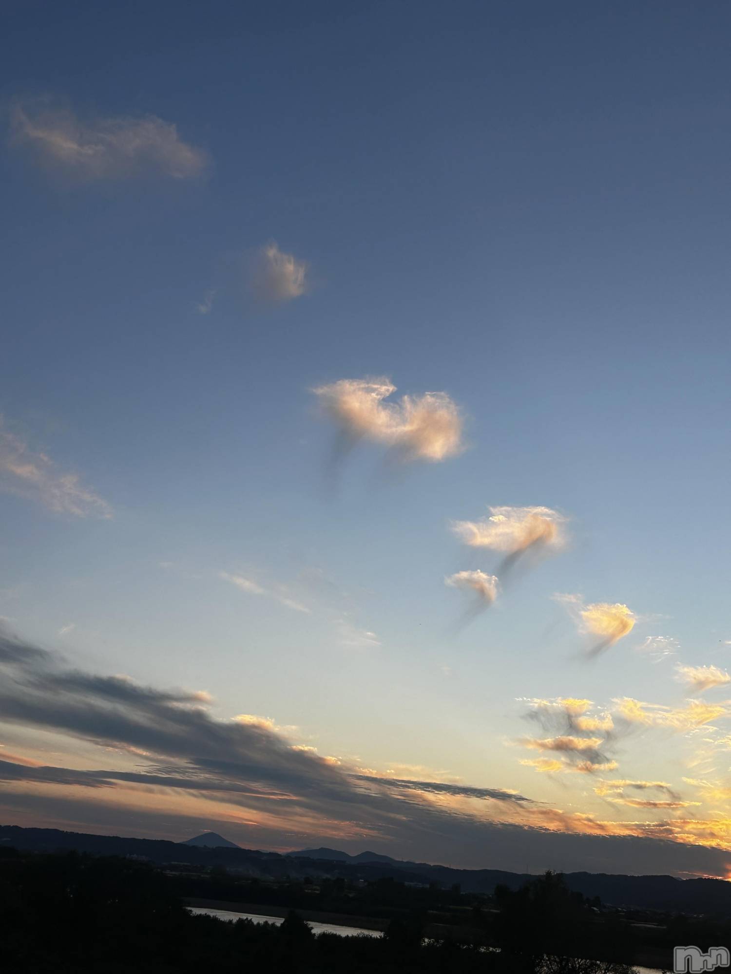 長岡デリヘル長岡人妻市(ナガオカヒトヅマイチ)りん★天使な小悪魔(28)の2025年11月25日写メブログ「申し訳ございません💦」