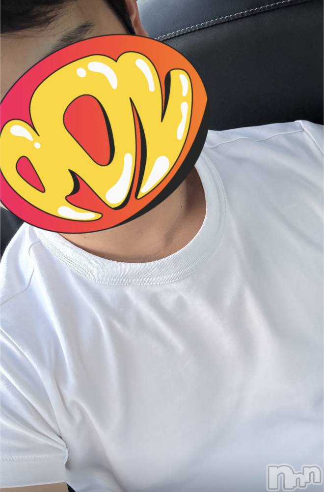 ĮۥȡܡСA151(ݥ) 93̥֥24