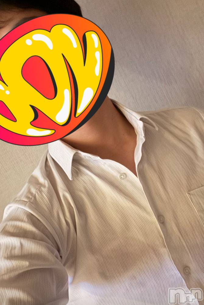 ĮۥȡܡСA151(ݥ) 913̥֥27