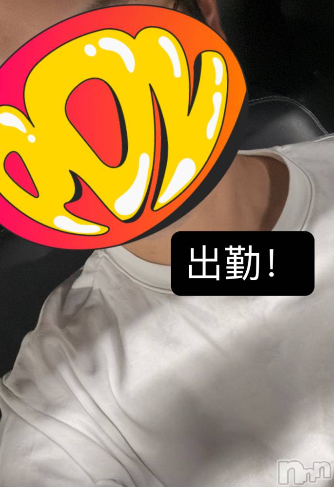 ĮۥȡܡСA151(ݥ) 929̥֥33