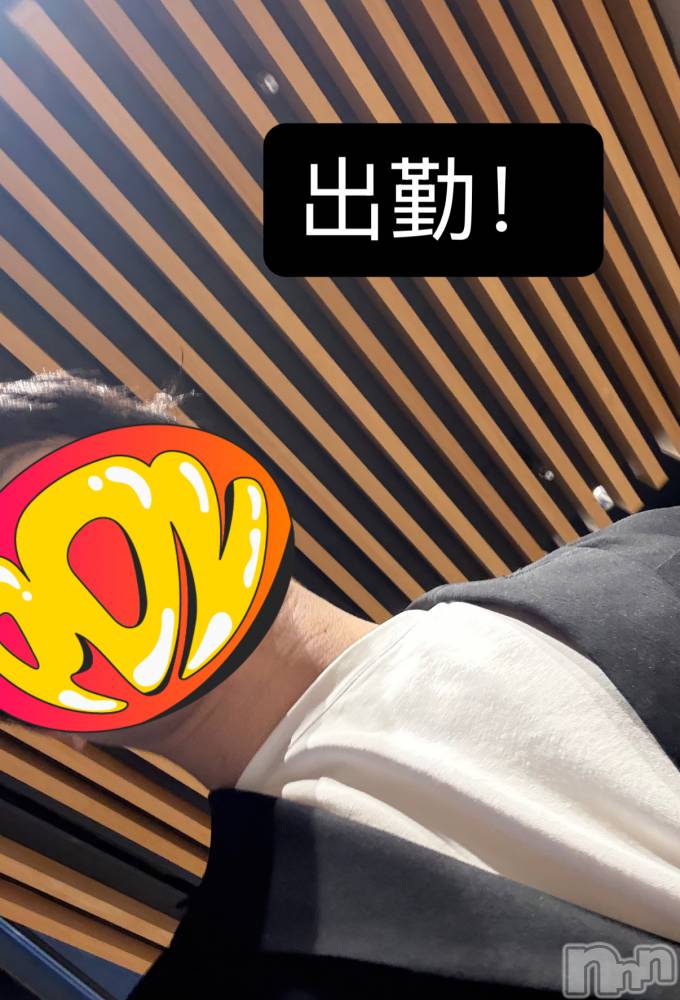 ĮۥȡܡСA151(ݥ) 103̥֥34