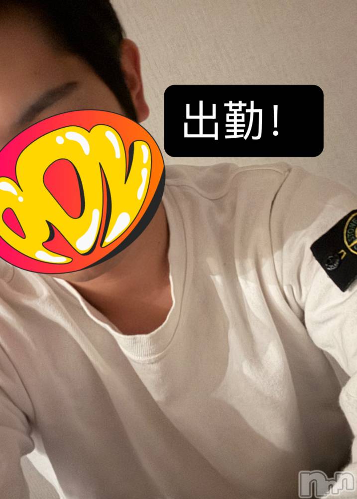 ĮۥȡܡСA151(ݥ) 1012̥֥36