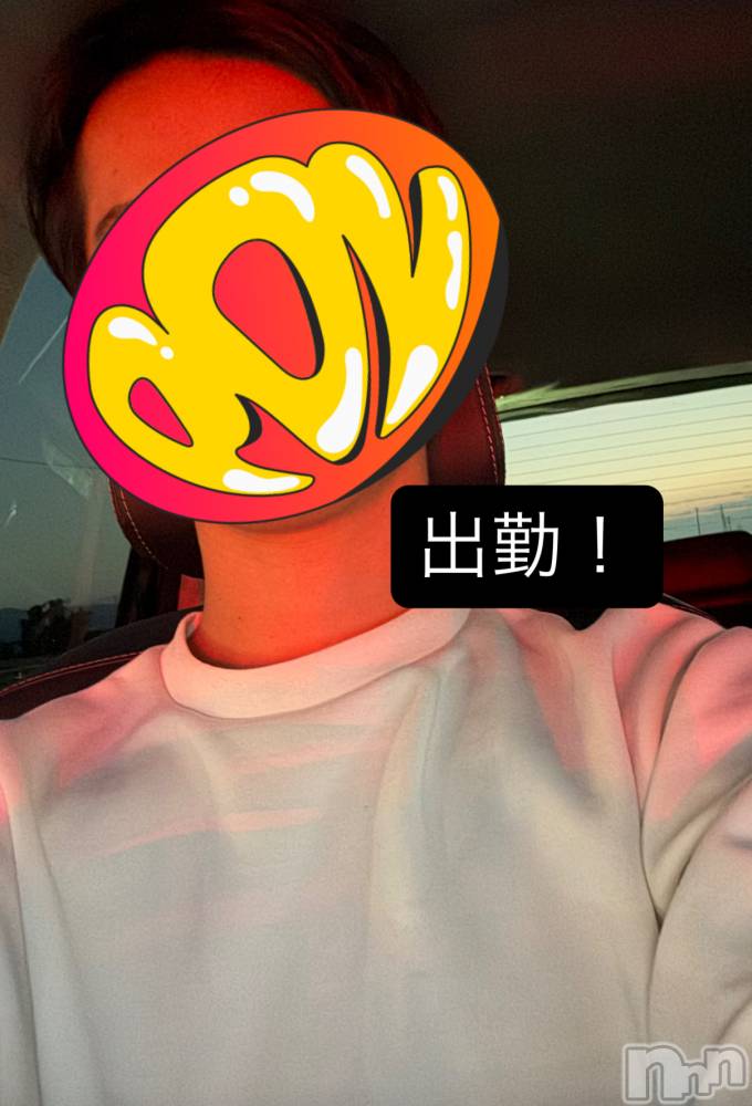 ĮۥȡܡСA151(ݥ) 1015̥֥30