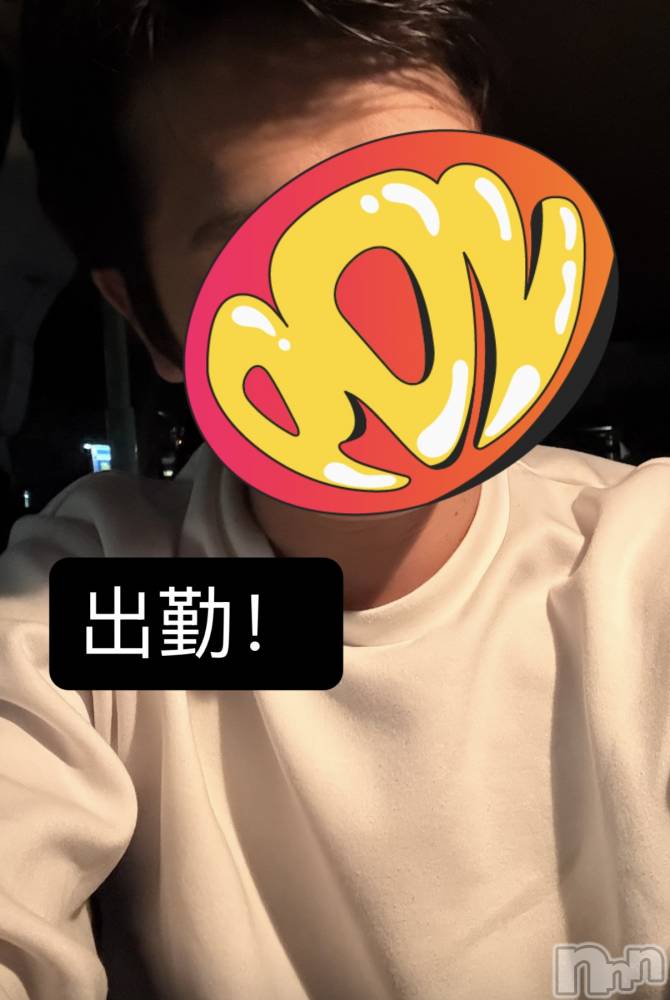 ĮۥȡܡСA151(ݥ) 1023̥֥40