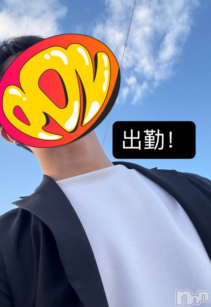 ĮۥȡܡСA151(ݥ) 1114̥֥43