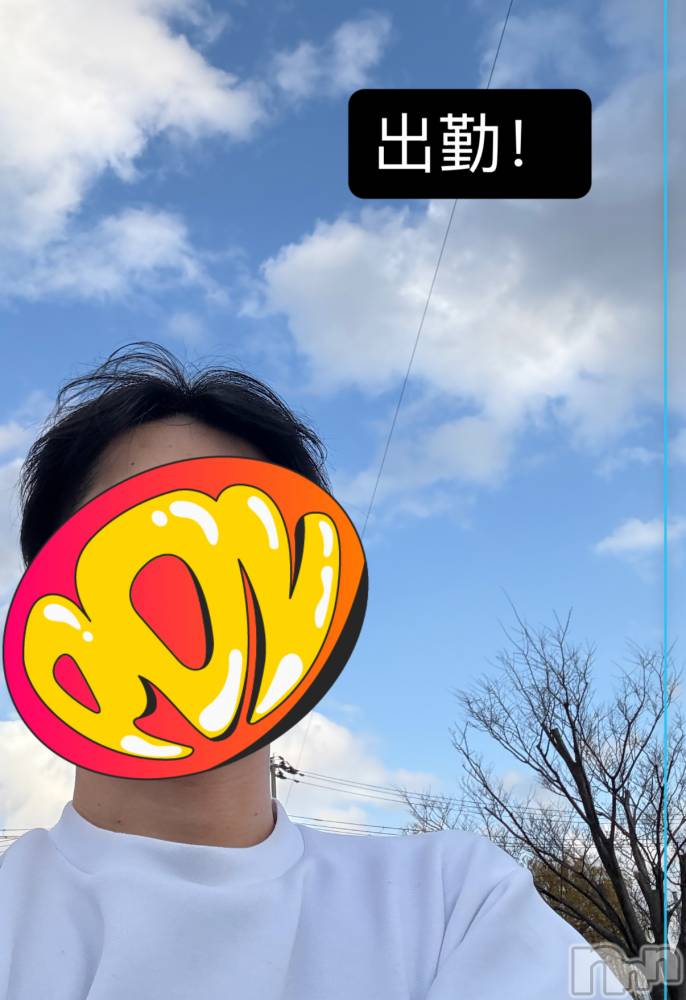 ĮۥȡܡСA151(ݥ) 1126̥֥45