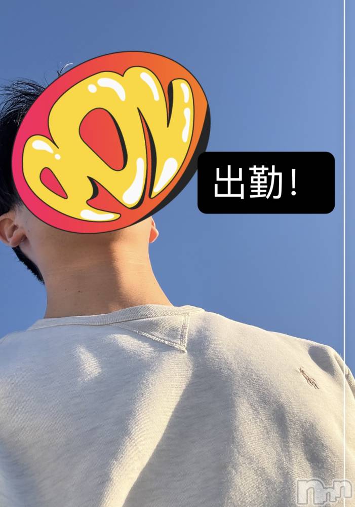 ĮۥȡܡСA151(ݥ) 1129̥֥46