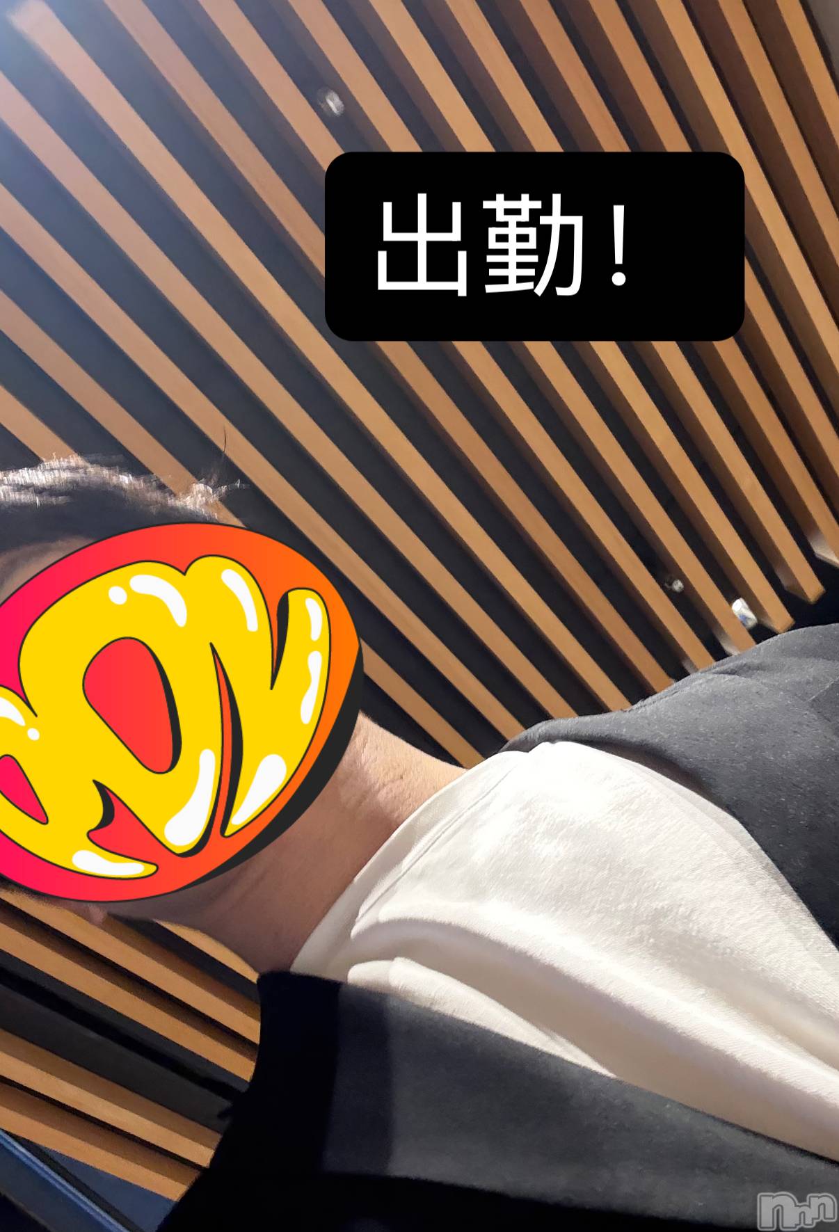 ĮۥȡܡСA151(ݥ) 2025ǯ103̥֥34