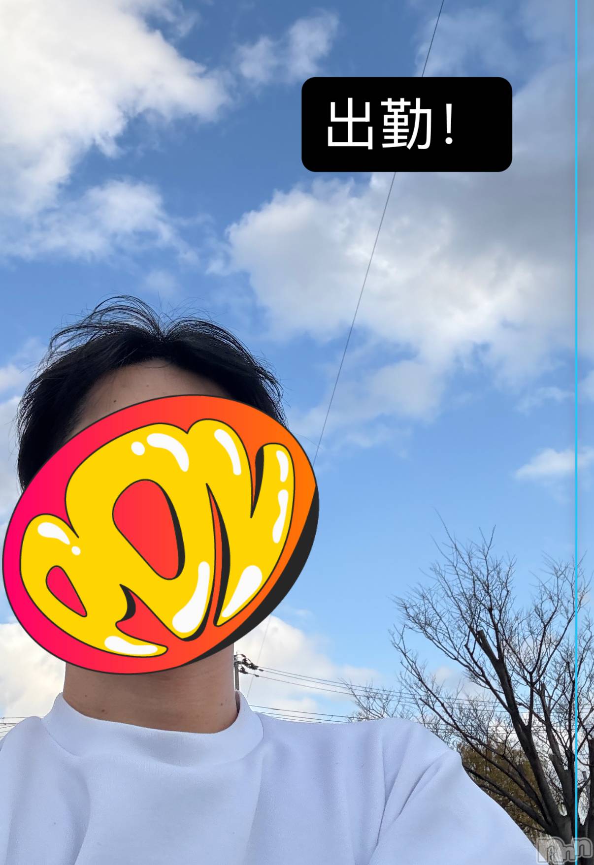 ĮۥȡܡСA151(ݥ) 2025ǯ1126̥֥45