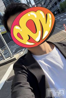 ĮۥȡܡСA151(ݥ) 719̥֥12