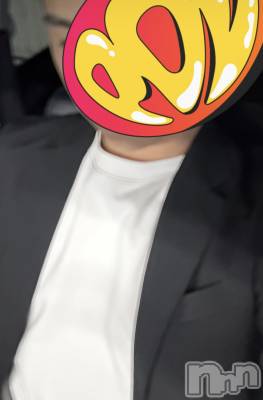 ĮۥȡܡСA151(ݥ) 86̥֥17