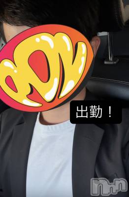 ĮۥȡܡСA151(ݥ) 96̥֥25