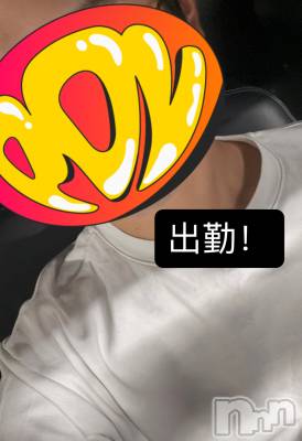 ĮۥȡܡСA151(ݥ) 929̥֥33