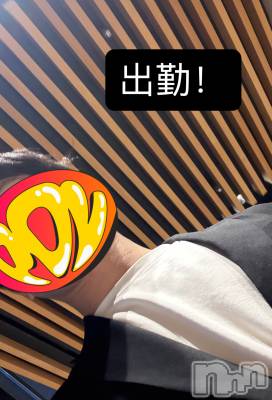 ĮۥȡܡСA151(ݥ) 103̥֥34