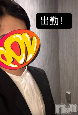 ĮۥȡܡСA151(ݥ) 105̥֥35