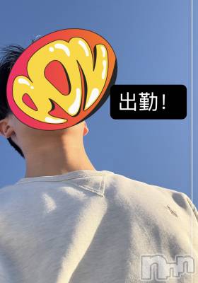 ĮۥȡܡСA151(ݥ) 1129̥֥46