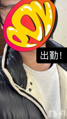 ĮۥȡܡСA151(ݥ) 1213̥֥47