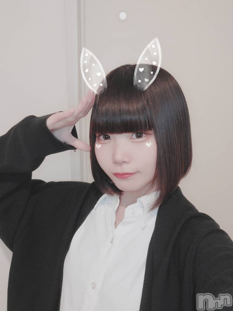 ʥå륺СLAPLUS(ץ饹) Τ114̥֥äƤޤ