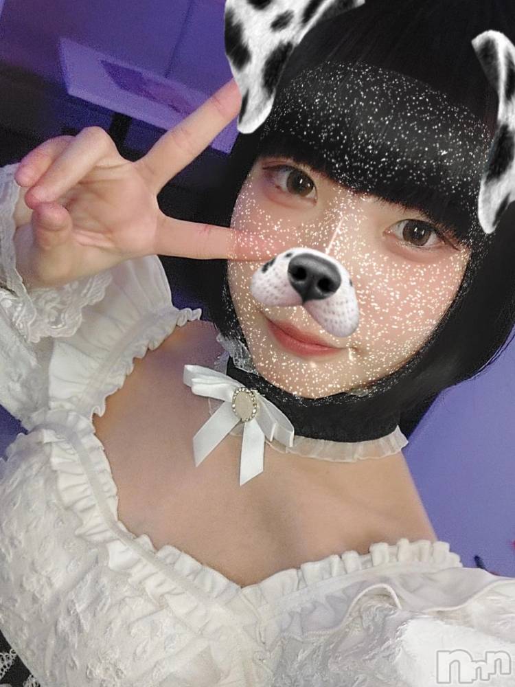 ����������ʥå��������륺�С�LAPLUS(��ץ饹) ��Τ�8��1���̥�֥����ְ�����ġ�