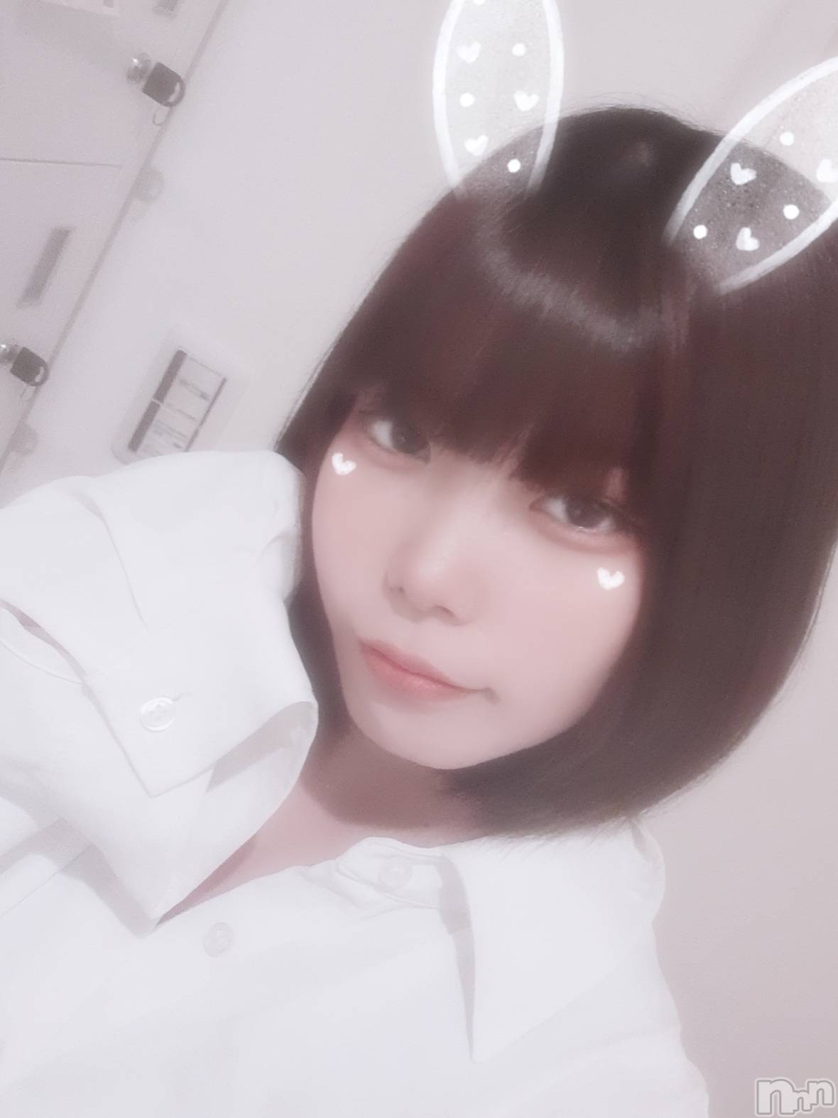 ʥå륺СLAPLUS(ץ饹) 2025ǯ723ֵ̥֥Ǥߤ