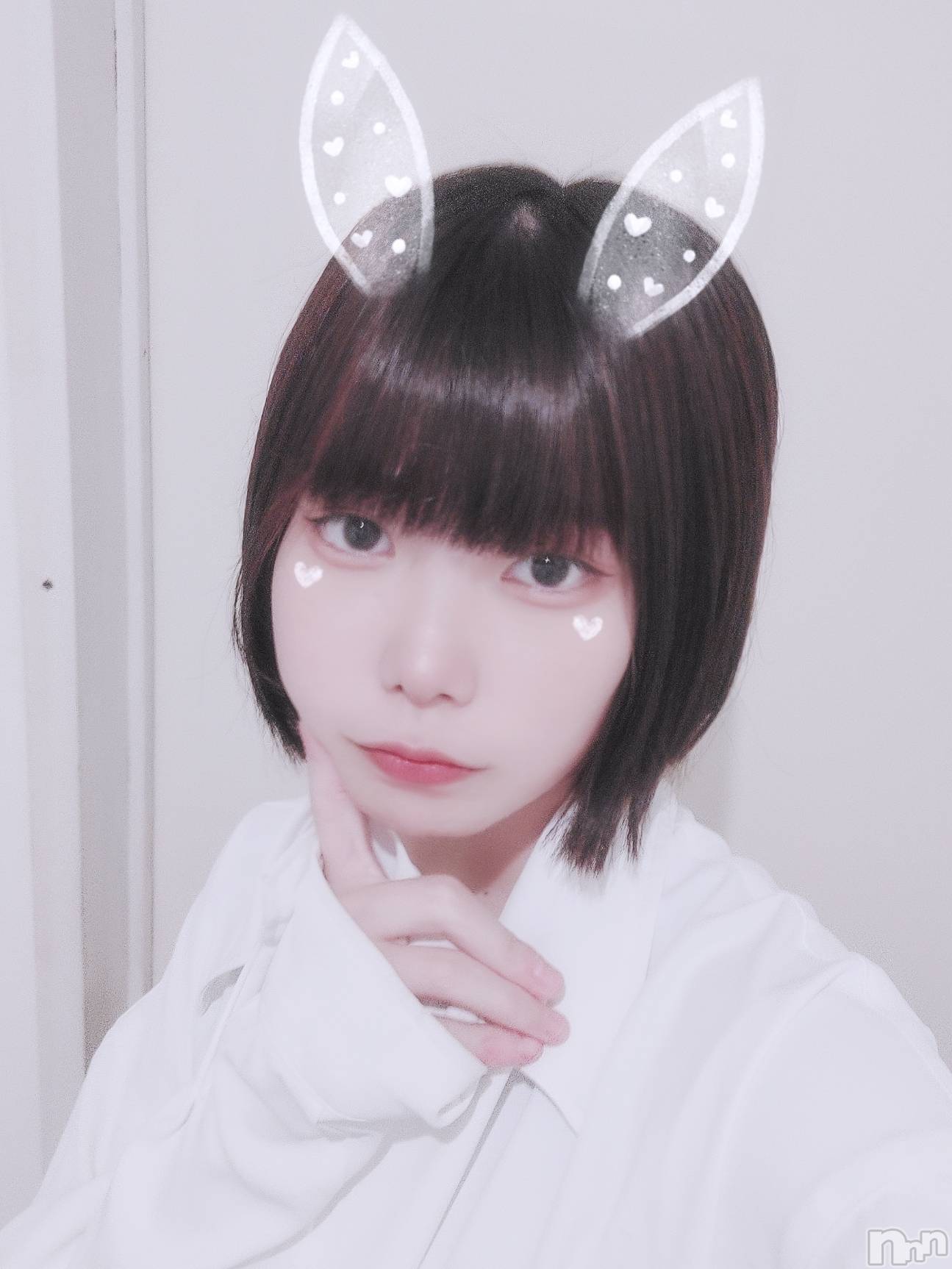 ʥå륺СLAPLUS(ץ饹) 2025ǯ88̥֥֤áġㅎ.ㅎ