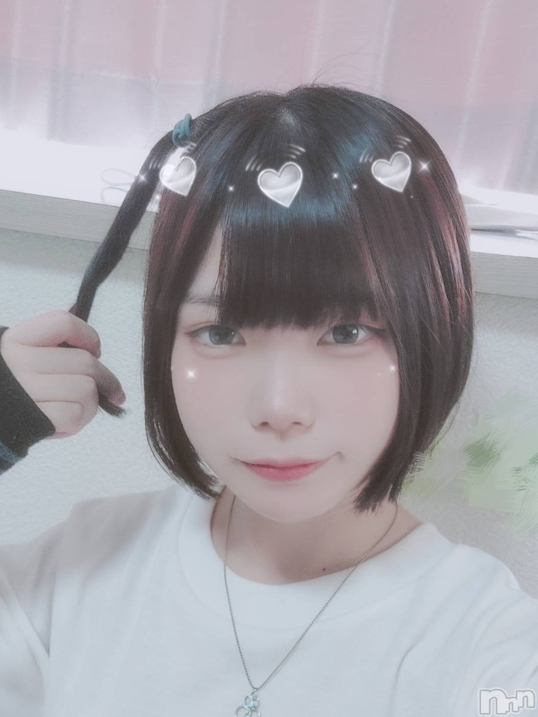 ʥå륺СLAPLUS(ץ饹) 2025ǯ818̥֥֤ơ