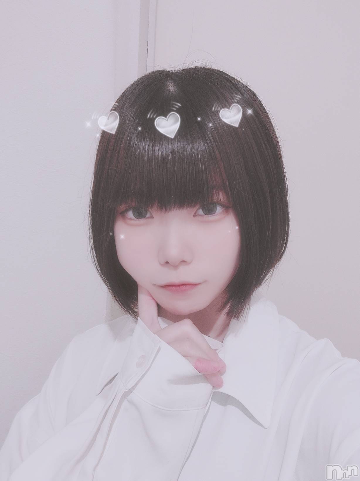 ʥå륺СLAPLUS(ץ饹) 2025ǯ828̥֥֥饹ȽжСඉ_ඉ