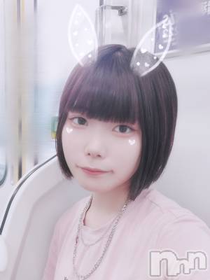 ʥå륺СLAPLUS(ץ饹) (19)87̥֥֤ۤäڡ