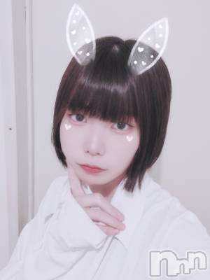 ʥå륺С LAPLUS(ץ饹) Τβ(1)