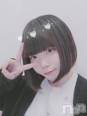 (ҥߥ) Ĺ158cmʥå륺С LAPLUS(ץ饹)ҡ