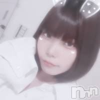 ʥå륺С LAPLUS(ץ饹) Τβ(2)