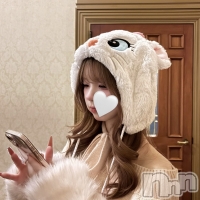 �����륺�С� �ӥ���٥˥塼