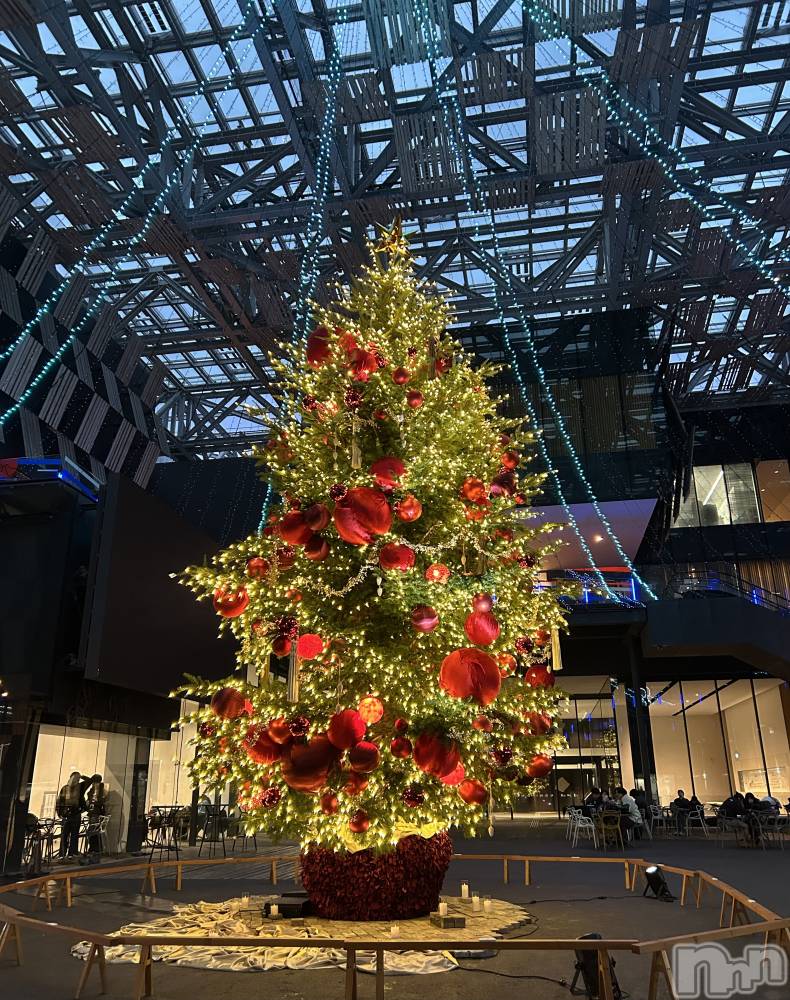 ����������ʥå��������륺�С������륺�С� �ӥ���٥˥塼(�����륺�С��ӥ���٥˥塼) ������12��28���̥�֥�����Ĺ���Ԥä�����