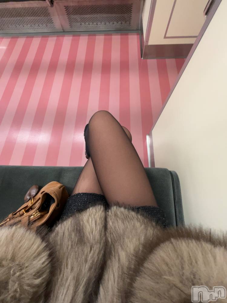 ����������ʥå��������륺�С������륺�С� �ӥ���٥˥塼(�����륺�С��ӥ���٥˥塼) ������3��7���̥�֥����֤ޤ����ä����⡢����