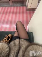 ����������ʥå��������륺�С������륺�С� �ӥ���٥˥塼(�����륺�С��ӥ���٥˥塼) ������3��7���̥�֥����֤ޤ����ä����⡢����