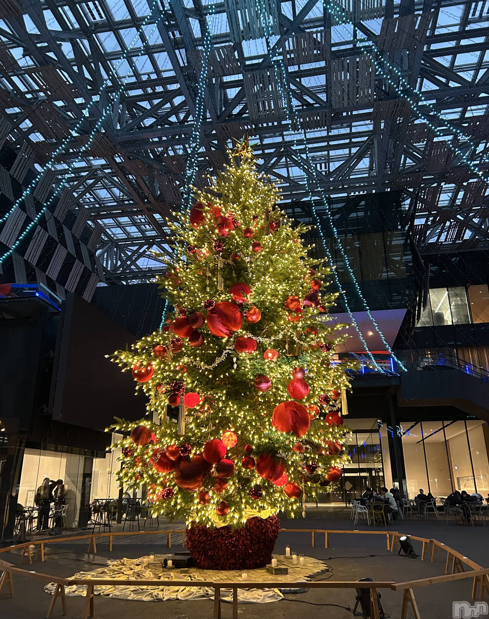 ����������ʥå��������륺�С������륺�С� �ӥ���٥˥塼(�����륺�С��ӥ���٥˥塼) ��2025ǯ12��28���̥�֥�����Ĺ���Ԥä�����