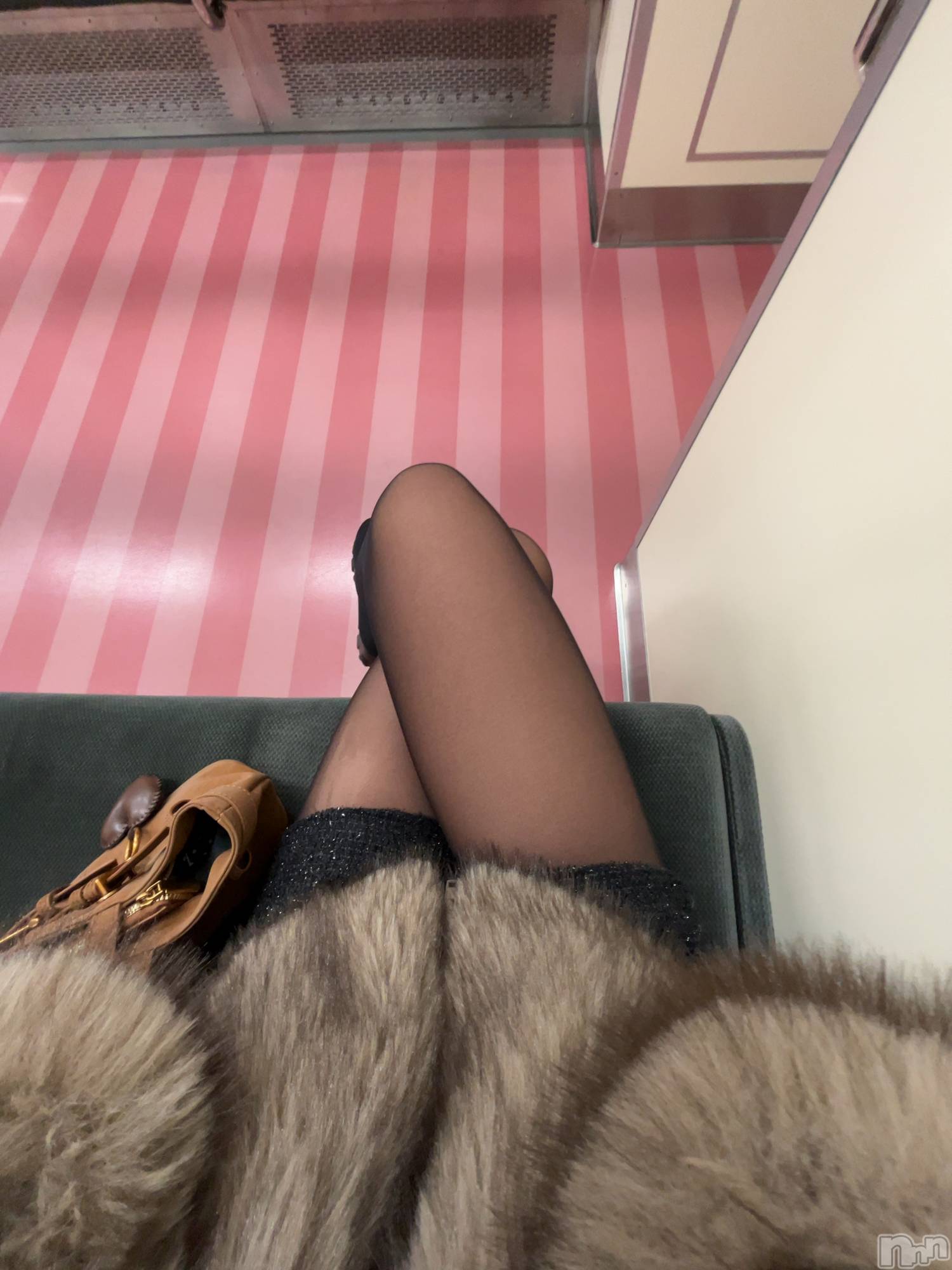 ����������ʥå��������륺�С������륺�С� �ӥ���٥˥塼(�����륺�С��ӥ���٥˥塼) ��2026ǯ3��7���̥�֥����֤ޤ����ä����⡢����