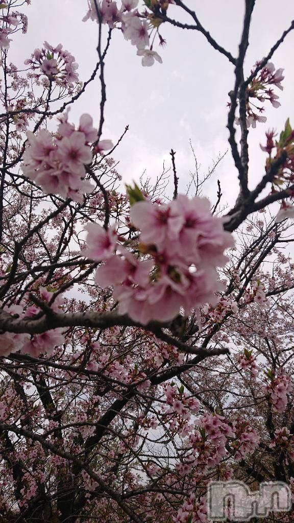 長岡デリヘル人妻楼　長岡店(ヒトヅマロウ　ナガオカテン)くみこ(39)の2025年12月21日写メブログ「辞めてないですよ🙆」