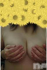 長岡デリヘル人妻楼　長岡店(ヒトヅマロウ　ナガオカテン) くみこ(39)の8月10日写メブログ「今空いてます」