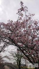 長岡デリヘル人妻楼　長岡店(ヒトヅマロウ　ナガオカテン) くみこ(39)の8月29日写メブログ「😢」