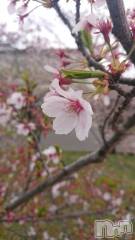 長岡デリヘル人妻楼　長岡店(ヒトヅマロウ　ナガオカテン) くみこ(39)の4月8日写メブログ「切なる願い」