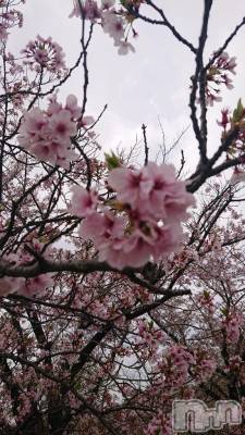 長岡デリヘル 人妻楼　長岡店(ヒトヅマロウ　ナガオカテン) くみこ(39)の12月21日写メブログ「辞めてないですよ🙆」