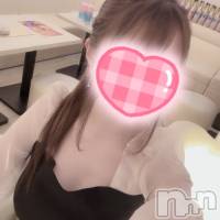 エル さんのプロフィール画像