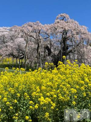 新潟デリヘル 五十路マダム新潟店(カサブランカグループ)(イソジマダムニイガタテン) 白川ゆりこ(51)の4月13日写メブログ「最高♪」