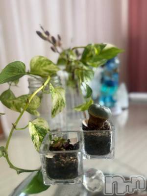 長岡デリヘル BIANCA～主人の知らない私～長岡店(ビアンカナガオカテン) 藤田　みねか(47)の7月8日写メブログ「ご迷惑を❤️」